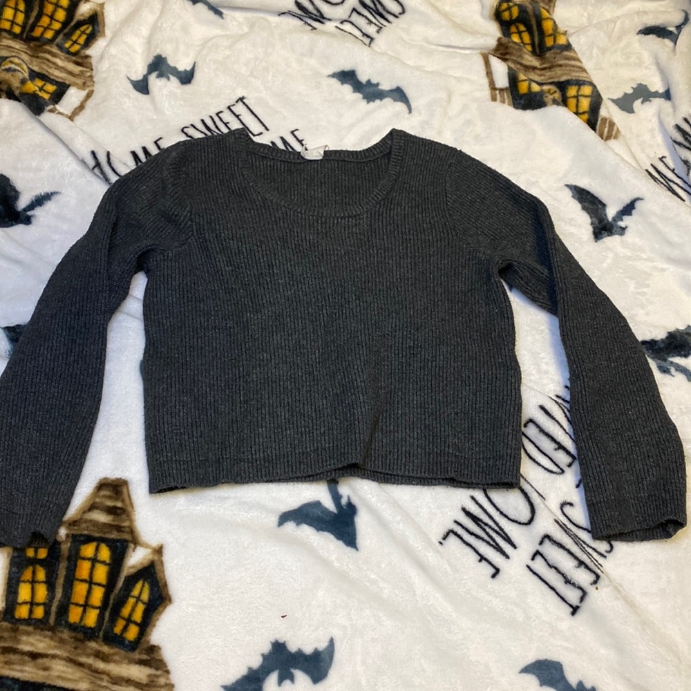 Cropped long sleeve